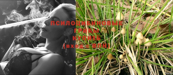 мяу мяу мука Беломорск