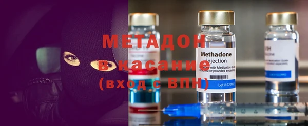 прущие грибы Богданович