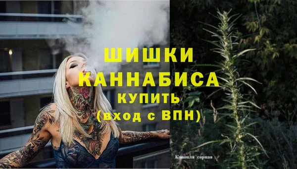 мяу мяу мука Беломорск