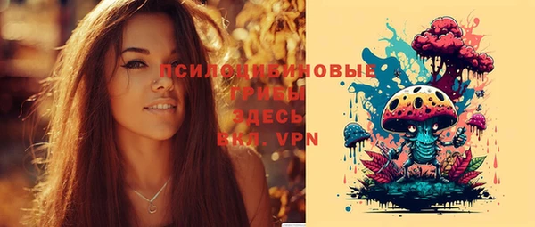 мяу мяу мука Беломорск