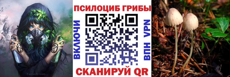 Псилоцибиновые грибы мицелий  Купить где  Павлово 